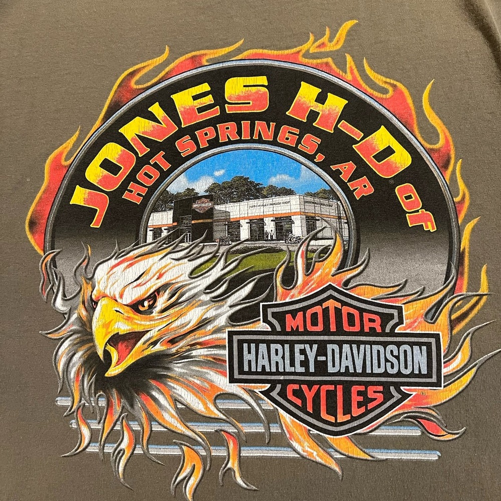 Harley Davidson Shirt Mens Large Gray Faded Hot Springs Flames Eagle Streetwear